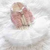 ドッグアパレルプリンセスドレス猫ドレス格子縞のレースデザインガールペット子犬スカート温かい服衣装