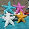 Obiekty dekoracyjne figurki dekoracja żywica akwarium Mini Ornament 2PCS Morza Śródziemnego Starfish Wall Aquarium Home Beach Work Wedding 231128