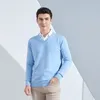 Herrtröjor Cashmere Cotton Blend Classic Vneck Sticke tröja män Pullover 2023 Autumn Winter Soft Warm Business Casual Jumper Pull Homme 231128