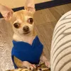 Hundkläder vinterfleece husdjur kläder valpkläder franska bulldogrock mops dräkter jacka för små hundar chihuahua väst Honendenklleding 231128