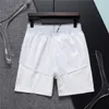 Mens Shorts Designers Casual Basketball Cashmere Hawaii Embroidery Letter Print Short Fashionclothing Quick Drying Swimwear Beach Pants M-3XL Top