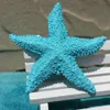 Obiekty dekoracyjne figurki dekoracja żywica akwarium Mini Ornament 2PCS Morza Śródziemnego Starfish Wall Aquarium Home Beach Work Wedding 231128