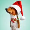 Hundkläder 10st små katt bowties jul husdjur leveranser fluga krage grooming accessoarer för hundar 231128