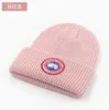 Top fashion Men Beanie Winter Unisex Knitted Hat goose Bonnet Skull Caps Knit Hats Classical Sports Cap Women Casual Outdoor Designer Beanies High quality G34