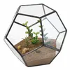 Verre noir Pentagone géométrique Terrarium conteneur fenêtre rebord décor Pot de fleur balcon planteur bricolage boîte d'affichage pas de plante T200104206W