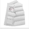 Gilets pour hommes Gilets pour hommes Manteaux Designer Mode Casual Hommes Veste De Gilet Plume Matériel Manteau Lâche Hiver Canadas Goose et Femmes En Plein Air Taille M5x