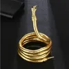 Style américain et européen Type d'enroulement Collier en forme de serpent Colliers de personnalité Chaîne de serpent pour femmes et hommes Rassemblement social Bijoux Cadeaux Dropshipping