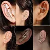 Brincos de branqueamento de cristal gancho de agulha de ouvido para mulheres em torno de aurícula diagonal de pântano de cobre Piercing de zircão /1 pc /1 pc