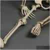 Party Decoration Poseable FL Life Size Halloween Prop Skeleton Holiday DIY DECORATIONS SEP9 Y201006 Drop Delivery Home Garden Festiv DHGM9