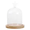 Vorratsflaschen Glockenglas Display Dome Glass Small Cloche mit Sockel