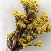 Decorative Flowers 50g Natural Millet Fruit Dried Flower Christmas Tree Ornaments 2023 Wedding Centerpieces For Tables Pampas