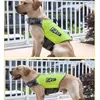 Vesten Reflecterend Snel Reddingsvest Voor Honden Zomer Hondenzwemvest Huisdier Drijfveiligheidsvest Surfen Zwemmen Oranje Groene Hondenkleding