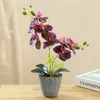 装飾的な花3Dプリントフィルム2張りの8花のPhalaenopsis Bonsaiシミュレーションホームデコレーション