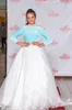 Flamingo White Girl Pageant Dress 2023 Long Sleeves Crystal Velvet Little Kid Birthday Formal Party Gown Infant Kleinkind Teens Preteen Tiny Young Junior Miss Sky Blue