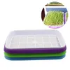 Planters POTS Double-Layer Sprouts Nursery Tray Hydroponics Seed Sprout Trays grönsaker Blomma Grov Box 5 Sets2912