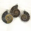 Pendant Necklaces Wholesale 6pcs/lot Fashion Natural Stone Ammonite Snail Seashell Pendants For Jewelry Accessories Making DropPendant