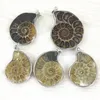 Pendant Necklaces Wholesale 6pcs/lot Fashion Natural Stone Ammonite Snail Seashell Pendants For Jewelry Accessories Making DropPendant