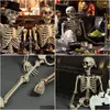 Party Decoration Poseable FL Life Size Halloween Prop Skeleton Holiday DIY DECORATIONS SEP9 Y201006 Drop Delivery Home Garden Festiv DHGM9