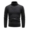 Suéteres para hombres Hombres Medio cuello alto Suéter Invierno Elegante Cuello medio alto Punto Cálido Slim Fit para otoño / invierno