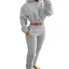 Women Dwuczęściowe spodnie Dostosowane zimowe uprawy z kapturem Zestaw Women Wool Zippered Jogging Solid Color Training Suit 2Ciece 231129