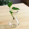 Vase 4 PCSセンターテーブル装飾Hyacinth Vase Glass Officeフラワーアボカドミス