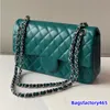 Franse dames klassieke dubbele klep gewatteerde lamskijnzakken Apple Green vroege voorjaar luxe portemonnee zilveren metalen hardware matelasse keten multi pochette handtassen 25 cm 25 cm