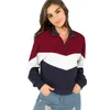 Kvinnors hoodies tröjor Multicolor Minimalist O-ring Zip Front Cut and Sew Stand Neck Raglan Sleeve Sweatshirt Autumn Women Casual Pul