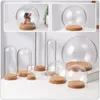 Vases 5Pcs Preserved Flower Glass Cover Dust- Dome With Cork