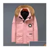メンズダウンパーカーグース冬コート濃厚な暖かいジャケットワーク服ジャケット屋外のファッションキーカップルライブブロードキャストコート387 DHCE6