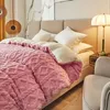 Conjuntos de cama Taff Velvet Duvet Capa Inverno Quente Engrossar Coral Fleece Quilt Cobre Cama Crianças Adulto Cobertor Duplo Queen King Duvet Case 231130