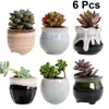 Vasi per fioriere 6 pezzi vaso per piante in ceramica fiore succulento flusso variabile per casa ufficio senza 247r