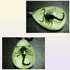 YQTDMY 12 PCS Insect Fashion Scorpion Hanger Style Luminous Small Adorn Artikel 59417531991339