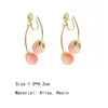 Boucles d'oreilles à clous pour femmes, Design de Niche, pendentif tomate rose, élégant, haute qualité, Clip de bobine de moustique sans trous