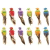 12 pezzi colorati mini simulazione uccelli finti schiuma artificiale modello animale in miniatura matrimonio casa giardino ornamento decorazione C19041601278n