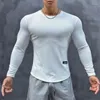 Camiseta masculina delicadeza chegada primavera outono design versão de manga comprida camiseta versátil esportes treino roupas stretch fit bot