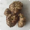 5 dried flowers magic green plant rose plant air fern selaginella immortal grass home party decoration 210624303s
