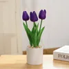 Decorative Flowers Fake Flower PU Feel Tulip Creative Indoor Ornaments Decoration Bonsai Simulation Potted Plant