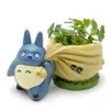 Maceta Kawaii Bulbasaur, maceta suculenta, maceta verde bonita con agujero, minibolsa trasera de resina Y200723195P