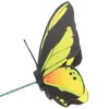 Dekorativa blommor 5st Decor Metal Lawn Patio Garden Stakes Fake Farterflies For Home