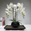 Großes künstliches Orchideen-Blumenarrangement, PU, fühlt sich echt an, Boden, Tischdekoration, hochwertiger Blumenstrauß, keine Vase 2012414