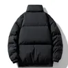 Parkas para baixo outono e inverno nova moda pão com jaqueta quente espessada popular na internet para roupas masculinas o mesmo estilo