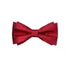 Bow Ties Men's Groom's Wedding Tie Red Suit Shirt Business Double Checkered Stripe