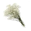 Decoratieve bloemen gedroogd baby kunstboeket Forever Gypsophila planten creatief bewaard