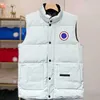 Gilet da uomo Designer Uomo Moda Corto Corsetto Giacche Outdoor Gilet caldo Donna Cappotto Colletto alla coreana Stile Vestito spesso Giacca a vento Tasca WZ2W