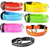 Colliers pour chiens en fil pour animaux de compagnie, fournitures d'anneau, charge pour chiots, Led foncée, USB, lumière scintillante