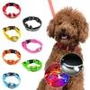 Collari per cani Collare a LED USB ricaricabile di sicurezza illumina per animali domestici luminosi con accessori in tessuto di nylon