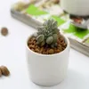 240 pz vasi bonsai in ceramica interi mini vasi da fiori in porcellana bianca fornitori per la semina di piante succulente per interni casa vivaio219g