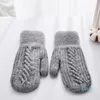 Luxury-Women's Winter Warm Gloves Korean Version Plush Thickened Cold Proof Double-Layer Knitted Outdoor Biking Lovers Glove