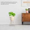 Flores decorativas Vaso de piso prateleira de flor de cesta moderna plantador de muicle