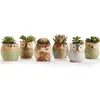1 pz bella ceramica mini vaso scrivania fioriera per piante grasse bonsai fiore di cactus gufo vaso regali per le donne ragazze ragazzi bambini Y0314308A